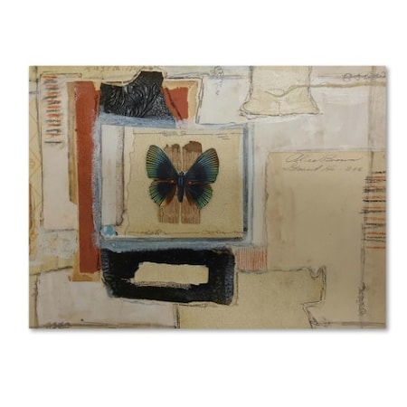 Vintage Gypsy 'Paper Butterfly' Canvas Art,14x19